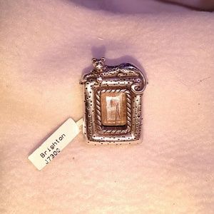 Brighton Leopard Photo Pin